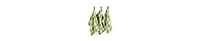 Design Imports Buffalo Check Kitchen Collection, Classic Farmhouse Dishtowel Set, 20x30", Antique Green, 3 Piece