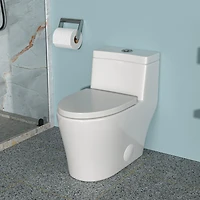 Streamdale Furniture Ceramic One Piece Toilet, Dual Flush With Soft Closing Seat 0000