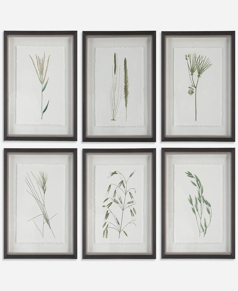 Uttermost Forest Finds Framed Prints Art, Set of 6