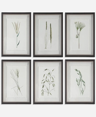 Uttermost Forest Finds Framed Prints Art, Set of 6