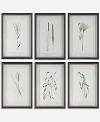 Uttermost Forest Finds Framed Prints Art, Set of 6