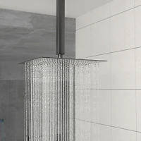 10" Rain Shower Head Systems, Matte Black, Ceiling Mounted Shower