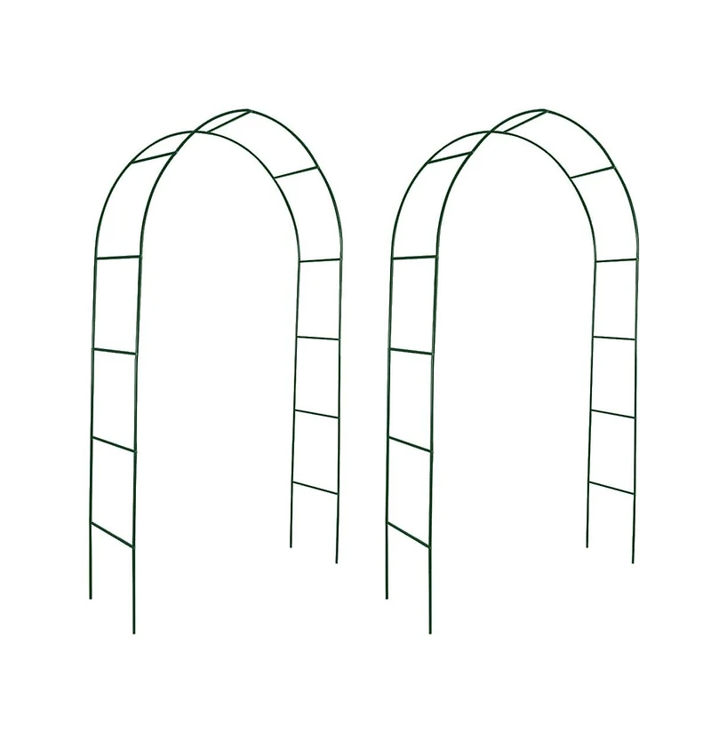 Garden Arch 2 pcs Climbing Plants