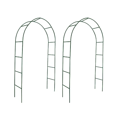 Garden Arch 2 pcs Climbing Plants