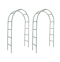 Garden Arch 2 pcs Climbing Plants