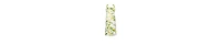 Design Imports Lemon Bliss Kitchen Collection, Chef Apron