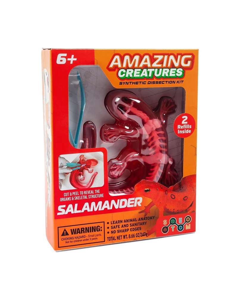 World Tech Toys Amazing Creatures Synthetic Dissection Kit - Salamander