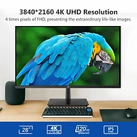 Z-edge 28 inch 4K Ultra Hd 3840x2160 120Hz 4ms Ips Gaming Monitor, Hdmi x2, DisplayPort x2, Support FreeSync