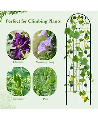 4 Pack Rustproof Metal Garden Trellis 71" x 20" Wire Lattice Panel for Patio