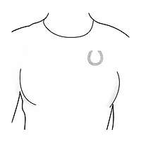 Bling Jewelry Large Western Fashion Statement Equestrian Cubic Zirconia Pave Cz Scarf Horseshoe Brooch Pin