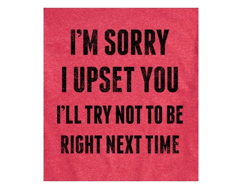 Hybrid Apparel Sorry I Upset You Men's Short Sleeve Tee