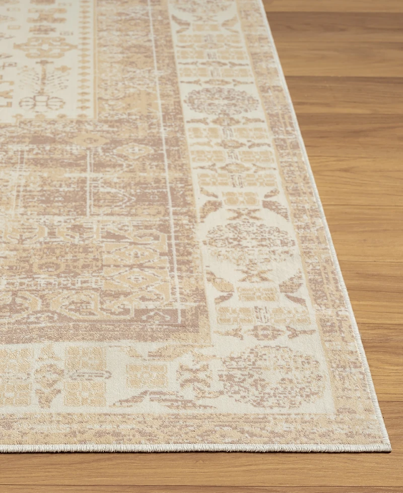Lr Home Anna Ari-425 5'3"x7' Area Rug