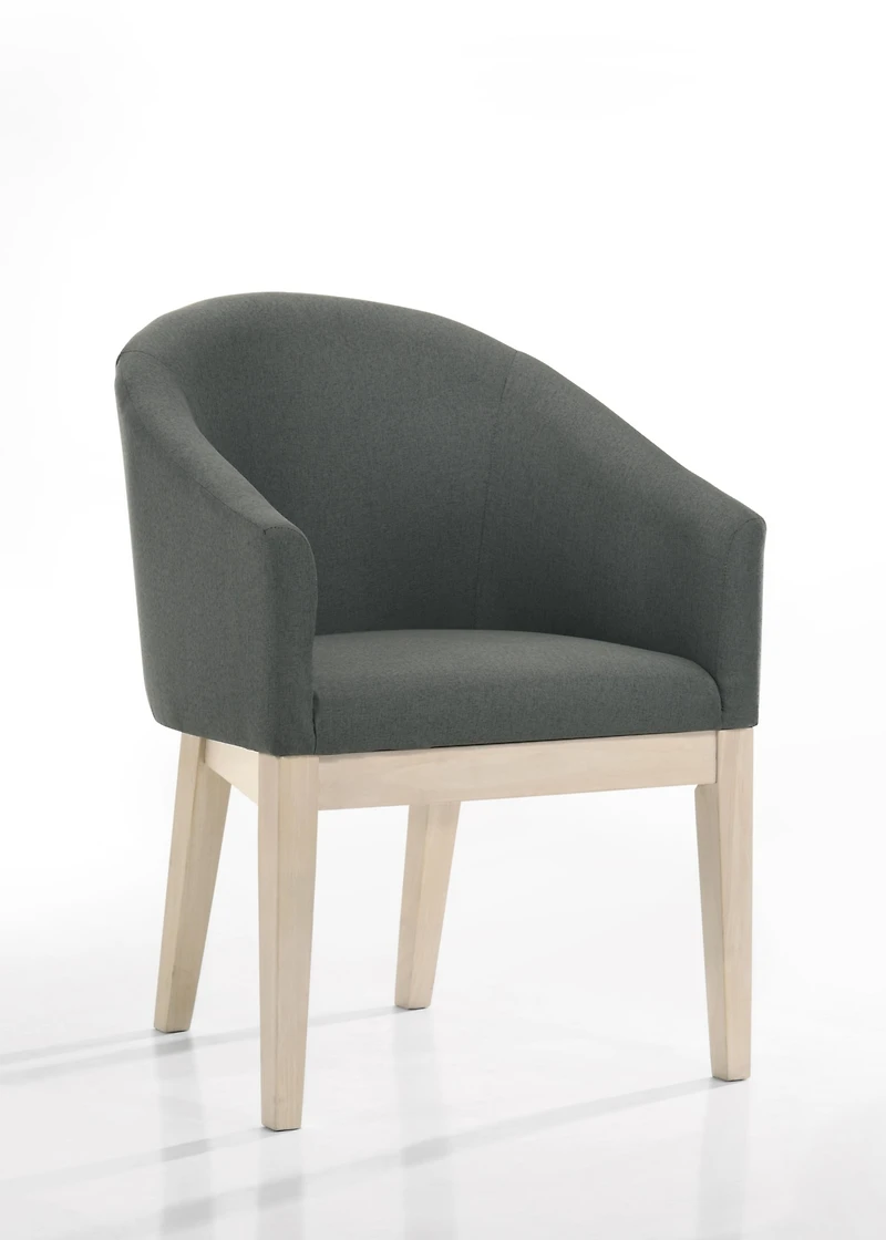 Streamdale Chair for Home or Office Use