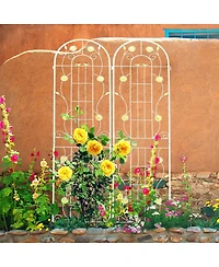 Streamdale Furniture Rustproof Metal Garden Trellis for Climbing Plants