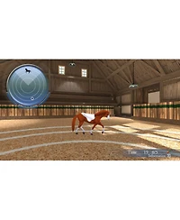 Kalypso Media My Riding Stables | Life With Horses