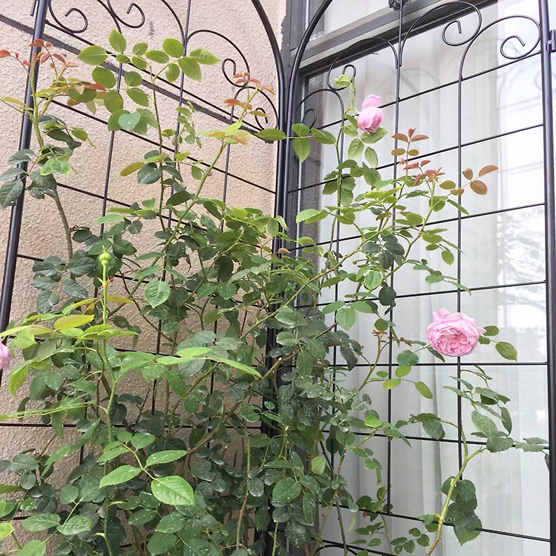 Streamdale Furniture Rustproof Metal Garden Trellis for Climbing Plants