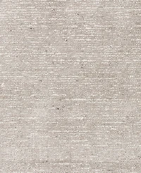 Dalyn Arcata AC1 2'x3' Area Rug