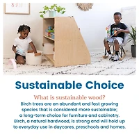 ECR4Kids Double-Sided Mobile Book Display with Storage, Natural, 1