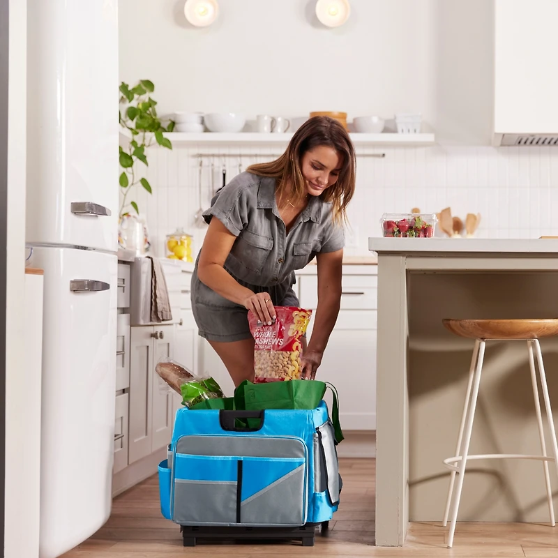 ECR4Kids Universal Rolling Cart with Canvas Organizer Bag, Blue/Grey, 1