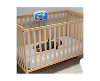 Baby Einstein Sea Dreams Soother Crib Toy