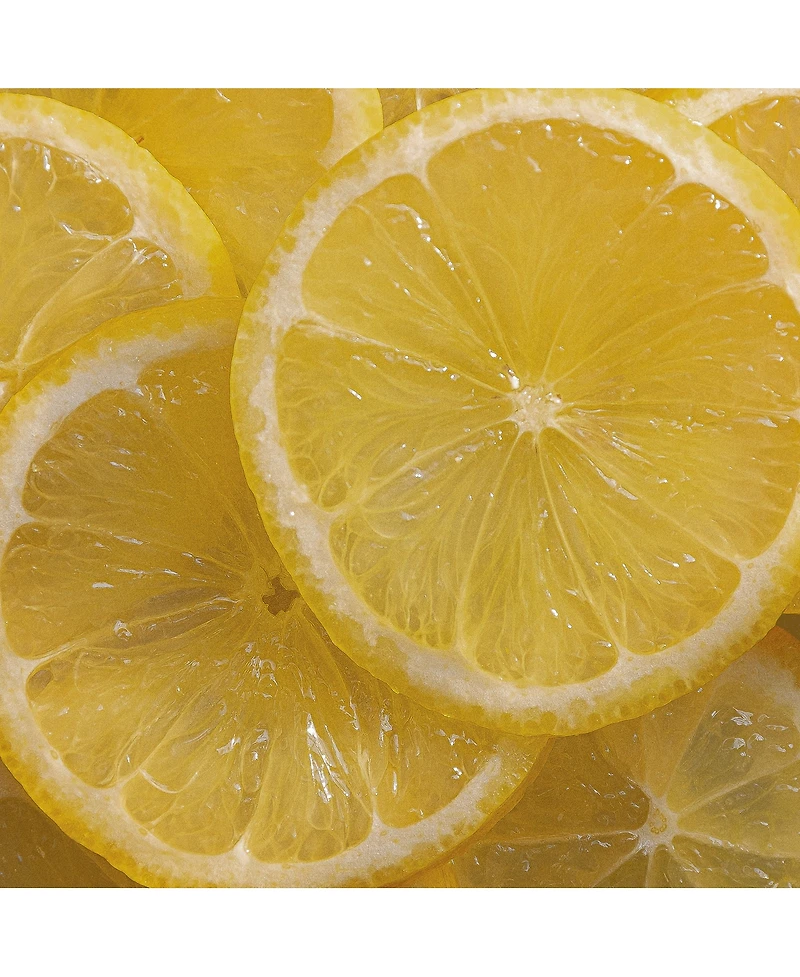 L'Occitane Citrus Verbena Fresh Shampoo 8.40 fl oz