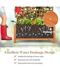 Raised Garden Bed with Trellis and Hanging Roof