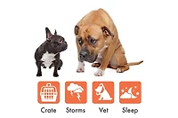 Doggie Shusher: The Original Portable Sound Machine for Dogs | Shhhh Shusher for Dog Anxiety Relief | Puppy must haves | Usb-c Charging