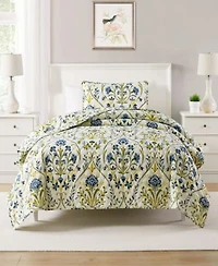 Vcny Home Province Quilt Sets