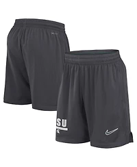 Nike Men's Anthracite Michigan State Spartans 2024 Sideline Mesh Shorts