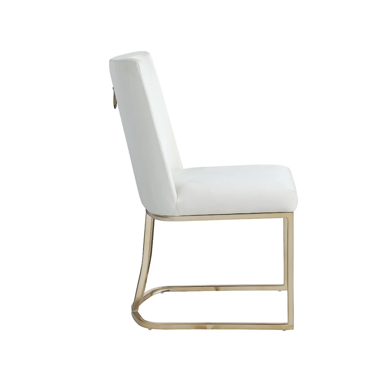 Streamdale Velvet Upholstered Dining Chairs (Set of 2)