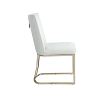 Streamdale Velvet Upholstered Dining Chairs (Set of 2)