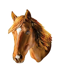 Horse 100 Piece Shaped Jigsaw Puzzle