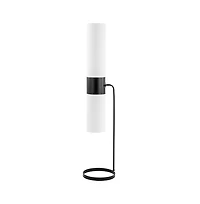 Safavieh Fierro Floor Lamp