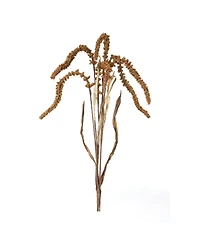 Set of 12 Amaranthus Stems for Decorative Arrangements