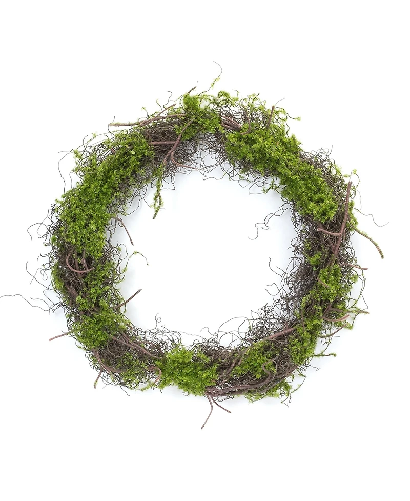 Moss Leaf Twig Wreath for Natural Home Decor (Set of 4)