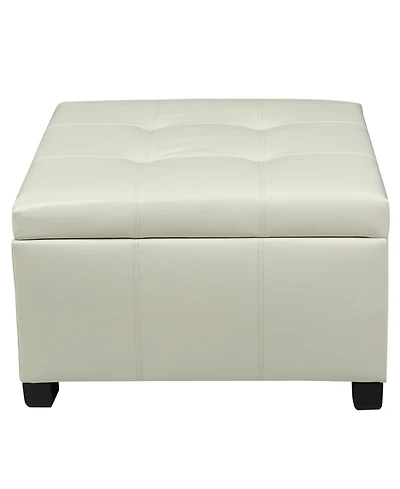 Streamdale Fabric Storage Ottoman, 30" X 30" X 19