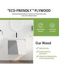 24" Wall-Mounted Vanity with Ceramic Basin
