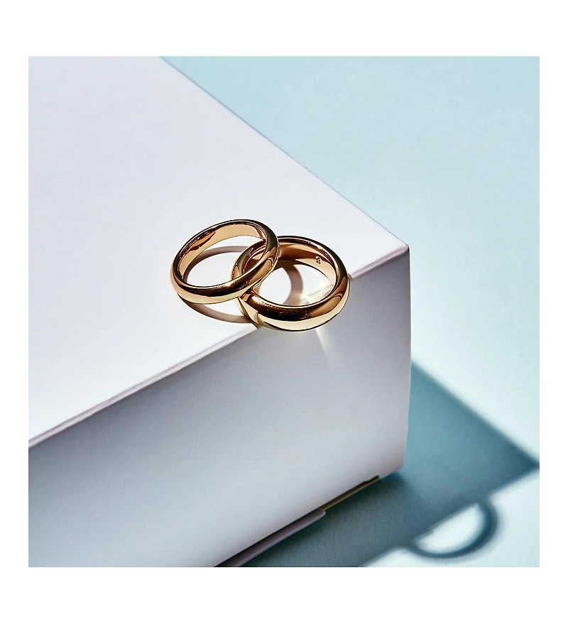 Ana Luisa Gold Band Ring - Everly