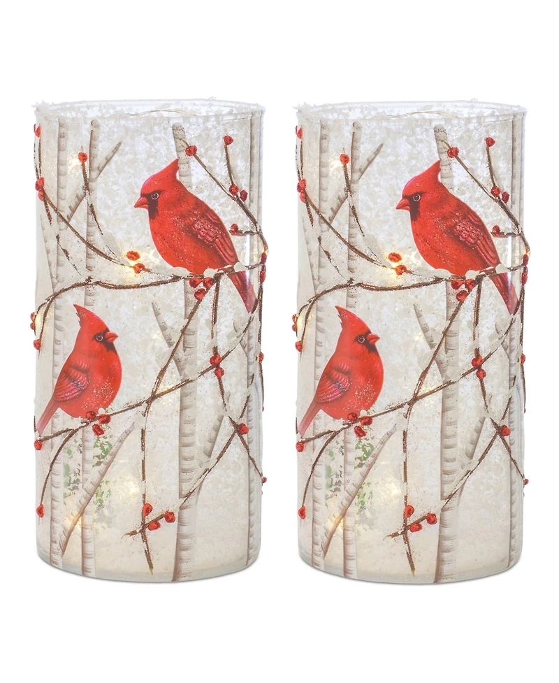 Set of 2 Led Cardinal Bird Luminaries for Festive Decor