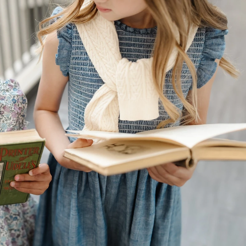 Hope & Henry Toddler Girls Flutter Sleeve Smocked Bodice Chambray Dress