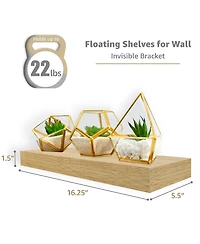 Sorbus 2 Pack 16 Inch Coastal Rectangle Floating Shelves - for Home DAcor to Display Trophies, Books, Frames, and more (Maple)