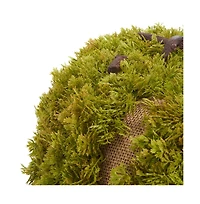Safavieh Faux 15 Inch Moss Pumpkin