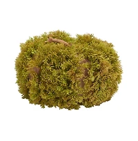 Safavieh Faux 10 Inch Moss Pumpkin
