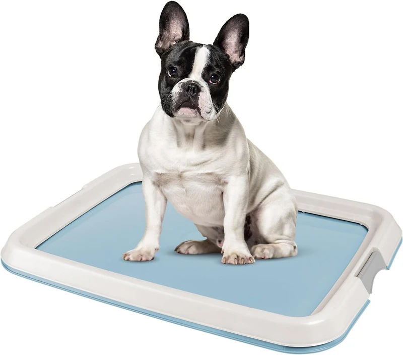 Iris Usa Pad Holder, Fits 17"x24" or Larger, Medium, Puppy Dog Pad Hoder, Secured Latches, Non-Skid Rubber Feet, High Polish Finish for Easy Cleaning