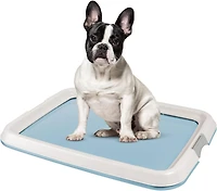 Iris Usa Pad Holder, Fits 17"x24" or Larger, Medium, Puppy Dog Pad Hoder, Secured Latches, Non-Skid Rubber Feet, High Polish Finish for Easy Cleaning