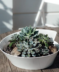 Villeroy & Boch New Wave Large Round Salad Bowl