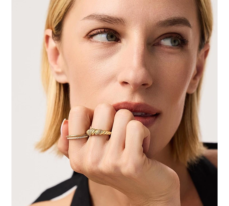 Ana Luisa Rope Ring - Pave