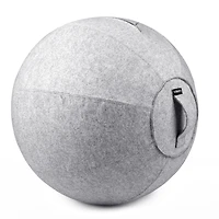 Bintiva Stability Ball with Felt Cover - 65cm