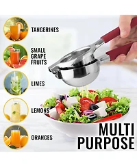 Lemon Squeezer Stainless Steel with Premium Heavy Duty Solid Metal Bowl
