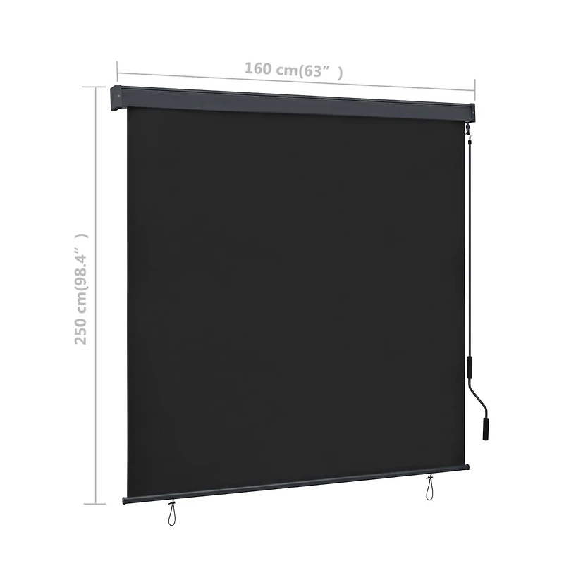vidaXL Outdoor Roller Blind 63"x98.4" Anthracite
